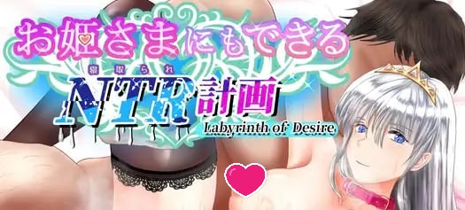 【RPG/PC】连公主大人也能做到的NTR计划-小布丁资源站